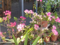 -盛龙生态风情园