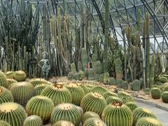 -深圳仙湖植物园