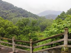 -南京老山国家森林公园