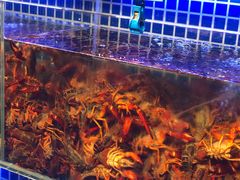 -必点海鲜·鲅鱼水饺(鞍山西道店)
