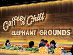 -大象园 ELEPHANT GROUNDS(广州太古汇店)