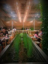 -悦诗风吟innisfree