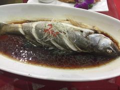 清蒸桂花鱼-碧丽宫大酒店(召稼楼店)