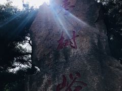 -鲁山国家森林公园