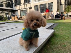 -一尺花园(安和花园店)