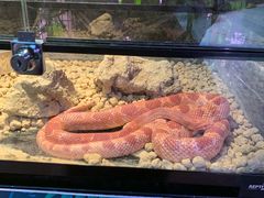 -正佳雨林生态植物园