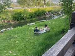 -羊山湖公园