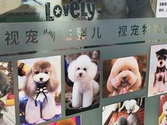 -全心全意连锁动物医院(石景山店)