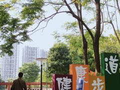 -重庆彩云湖湿地公园