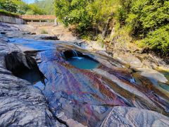 -广州白江湖森林公园