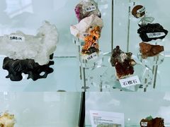 -中国第四纪冰川遗迹陈列馆