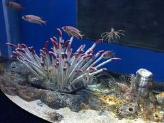 -福州罗源湾海洋世界旅游区