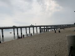 -演武大桥观景平台