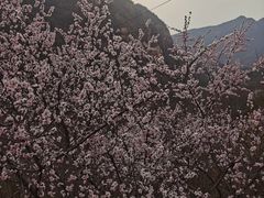 -北京凤凰岭