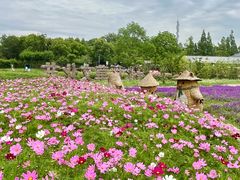 -嘉北郊野公园