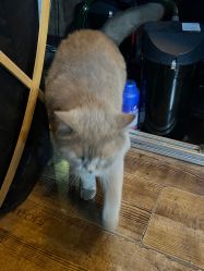 -青木造型HAIR·あおき髪を刈る潮人店