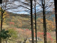 -四明山国家森林公园