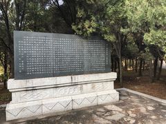 -原山国家森林公园