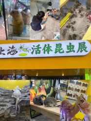 -神奇动物撸宠馆·羊驼·小浣熊·异宠(豫园店)