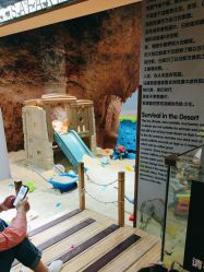 -卡通尼·Safari非洲探索乐园·生日会(金桥国际商业广场店)