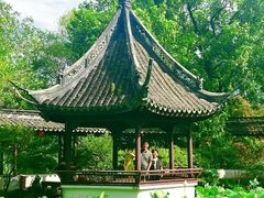 -上海醉白池公园