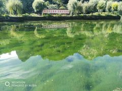 -沕沕水生态风景区