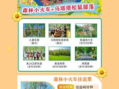 -合肥滨湖国家森林公园