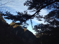 iphone_upload_pic-大明山自然探索公园