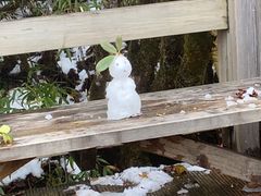 -西岭雪山大飞水景区
