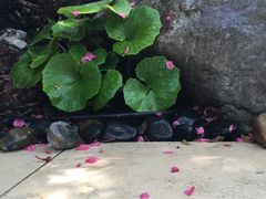 -苏州湾王焰温泉度假酒店