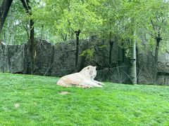 -北京野生动物园