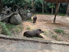 -广州长隆野生动物世界