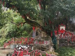 -车溪民俗旅游区