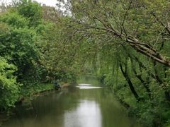 -同里国家湿地公园