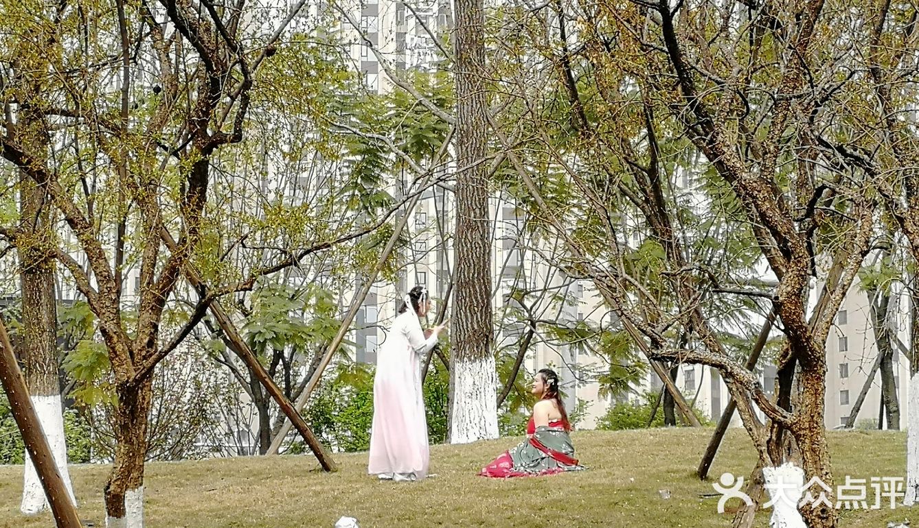 逛公园顺便买花花