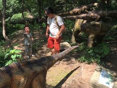 -木兰云雾山