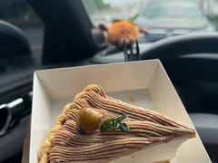 -猫里有甜