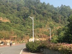-火炉山森林公园