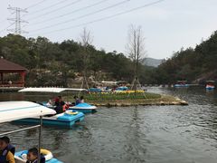 -清境桃源