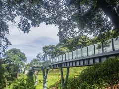 -黄埔油麻山森林公园