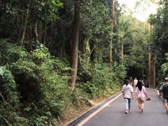-滴水岩森林公园