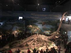 -自贡恐龙博物馆