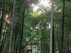 -杭州黄龙洞