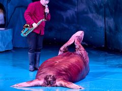 -大连圣亚海洋世界