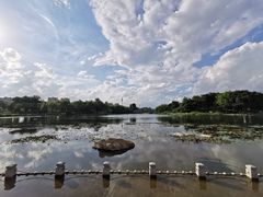 -映月湖公园