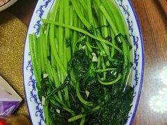 -大班家政月嫂育儿嫂(广州NO.1店)