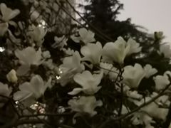 -木塔寺遗址生态公园