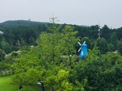 -铁山坪森林公园