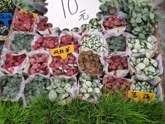 -秦美花卉(天朗·莱茵小城2期店)