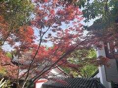 -幕燕滨江·燕子矶公园